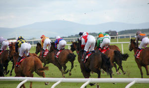 Racing at The Curragh Racecourse