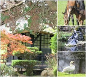 Irish National Stud, Japanese Gardens & St. Fiachras Garden